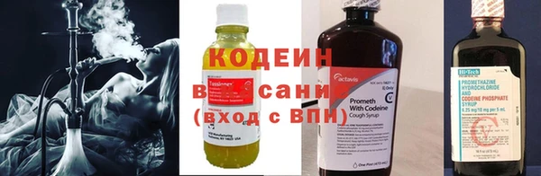 ПСИЛОЦИБИНОВЫЕ ГРИБЫ Майский