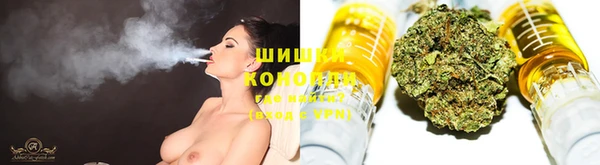 винт Аркадак